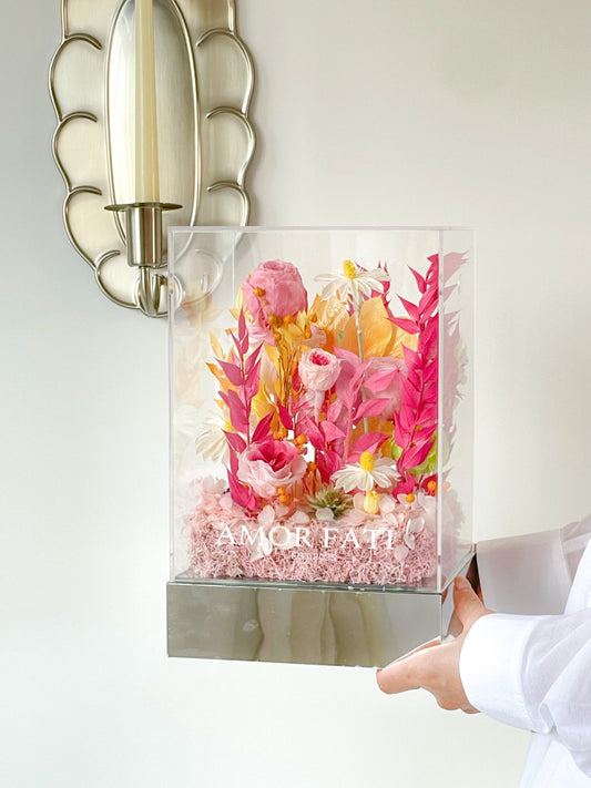 “Blossomland”|The Garden Series