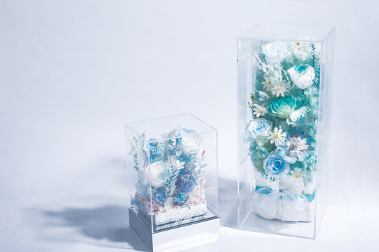 “Silent Garde”|The Garden Series