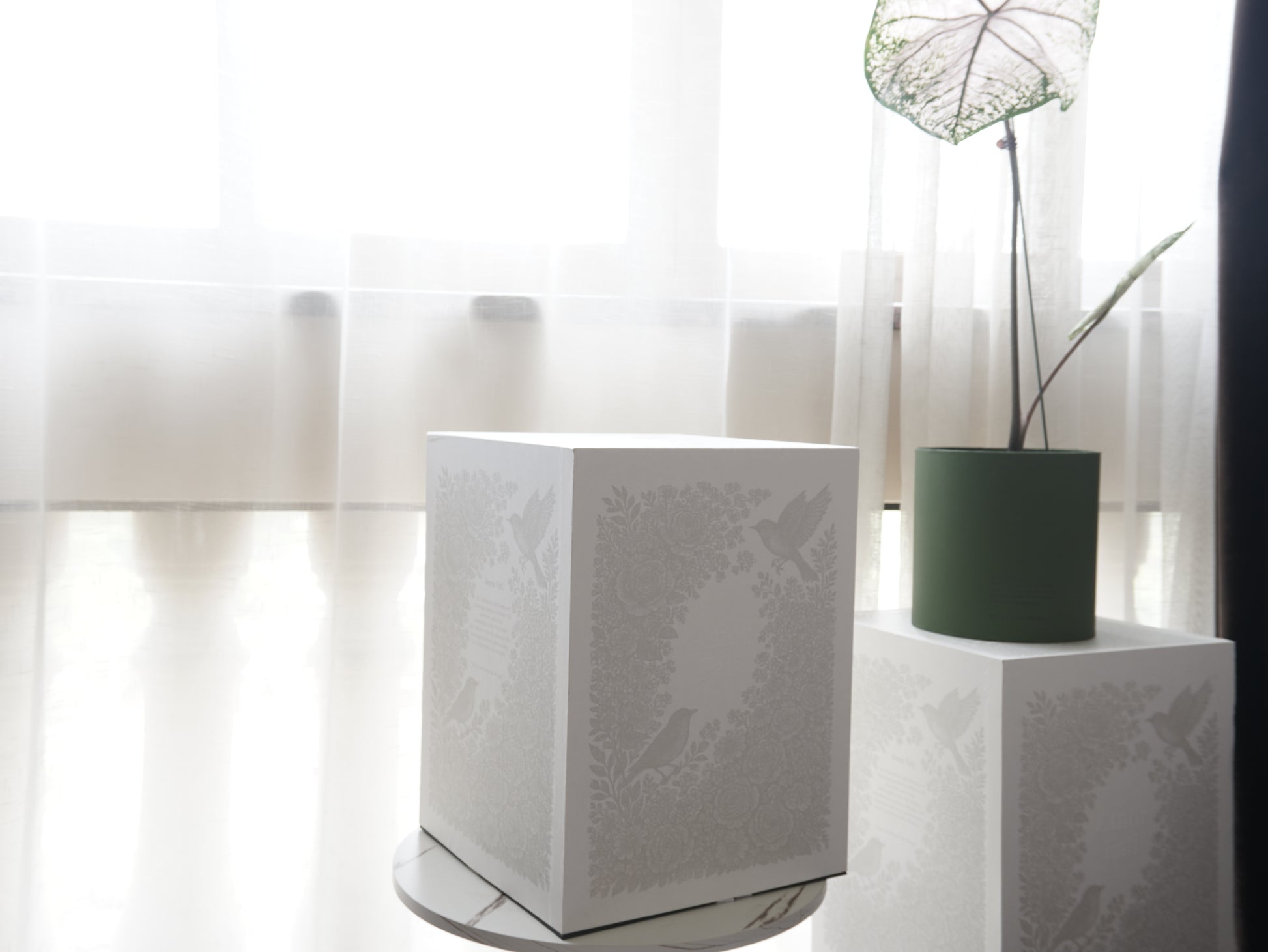 Against a backdrop of sheer white curtains, an intricately patterned white box sits on a marble surface. Beside it, a green pot with a unique plant adds a touch of nature, making the box not only a practical package but also a visually appealing decor piece.