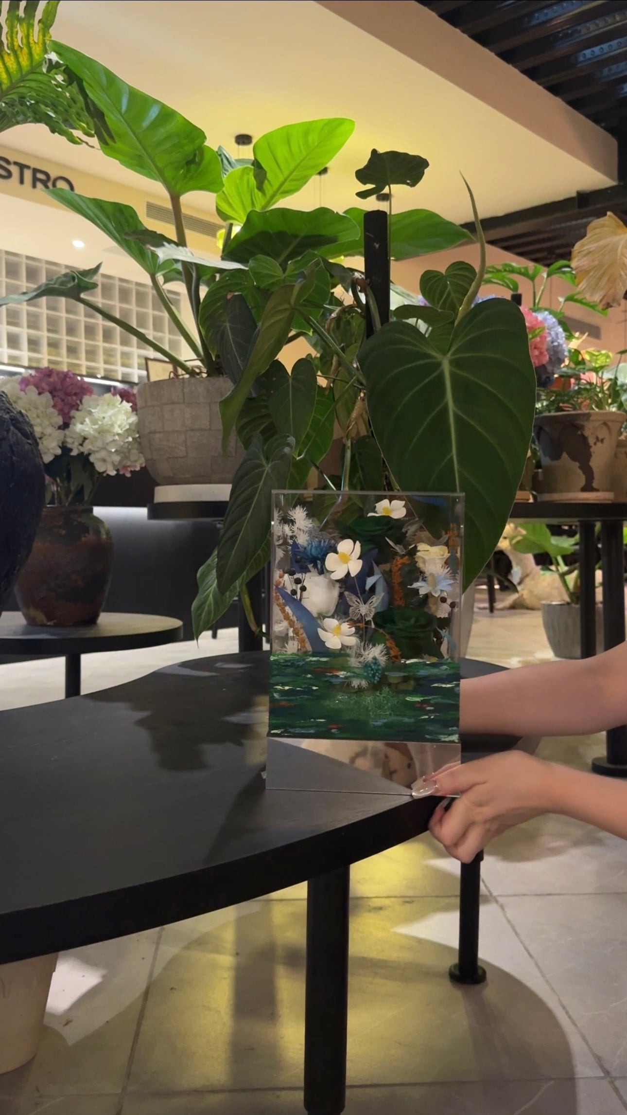 Monet external garden