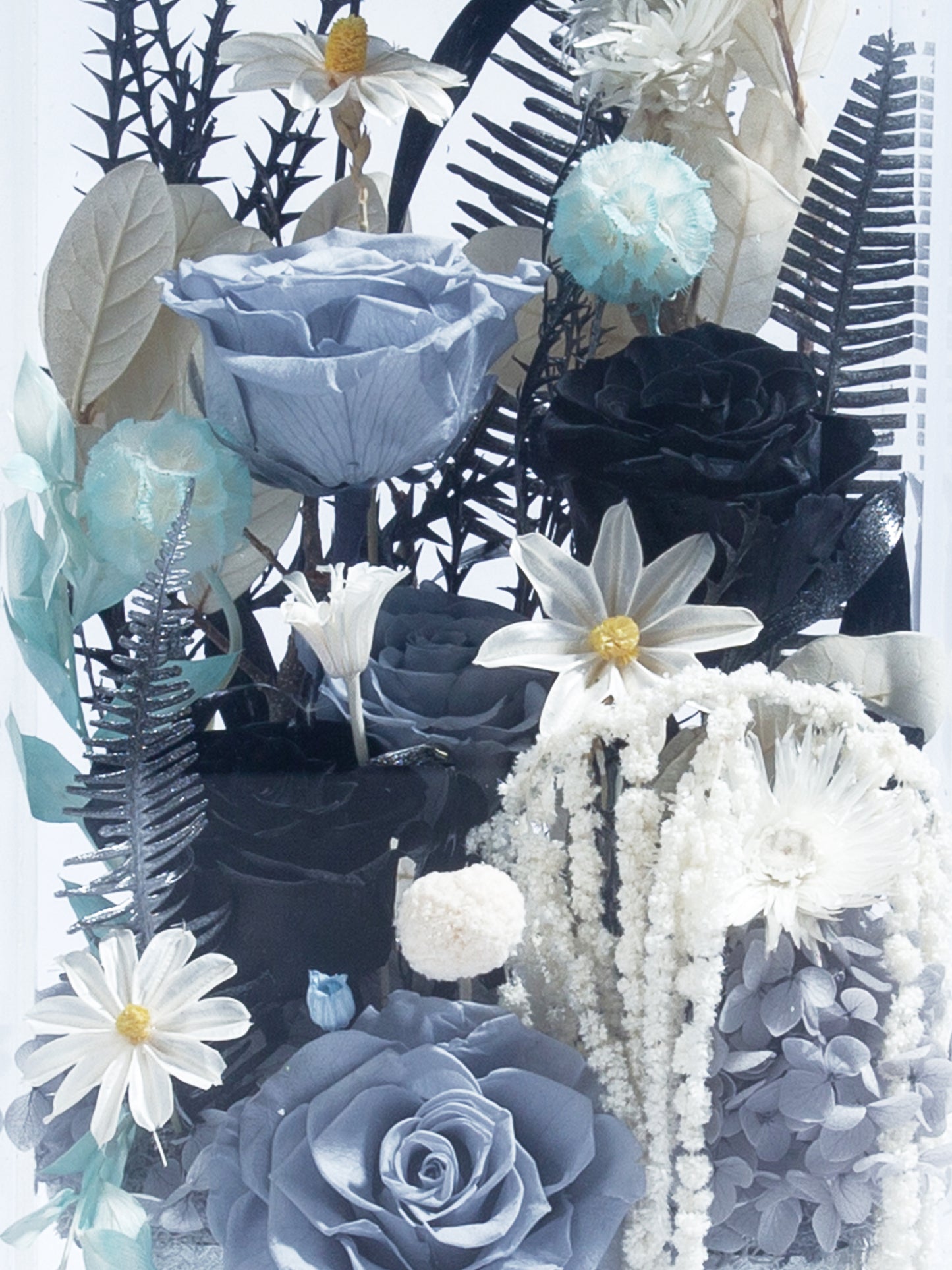 “Ebony Wilds”｜ The Garden Series