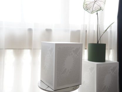 Against a backdrop of sheer white curtains, an intricately patterned white box sits on a marble surface. Beside it, a green pot with a unique plant adds a touch of nature, making the box not only a practical package but also a visually appealing decor piece.